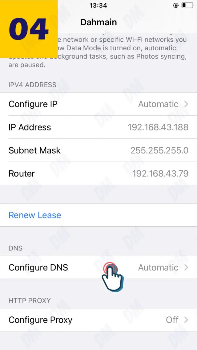 iPhone Configure DNS