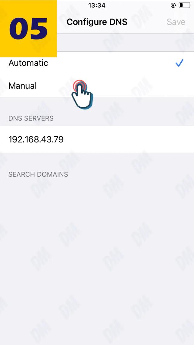 iPhone Manual DNS